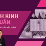 THANH KINH 100 TUAN