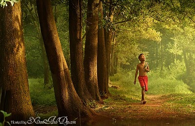 Giải mã bài ca dao thằng bờm