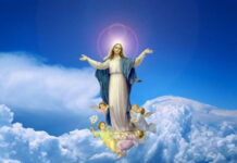 Đức Mẹ được đưa vào vinh quang Thiên quốc – Phẩm giá phụ nữ được tôn vinh