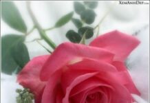 Trao tặng là lãnh nhận