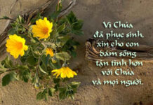 Lời chúc mừng Phục sinh 2011 của Chị Tổng Phụ Trách