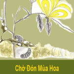 Thời điểm chờ đón mùa hoa