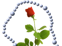 Đức Thánh Cha mời gọi siêng năng lần chuỗi Mân Côi