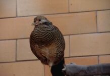 Tôi không còn cô đơn