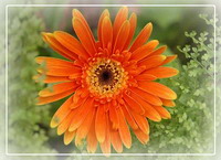 Cho bạn và cho tôi