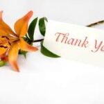 Tri ân là vẻ đẹp của Kitô giáo