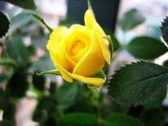 Điều có giá trị