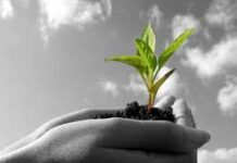 Giáo Dục Tính Trung Thực Và Tình Cảm để có được môi trường lành mạnh trong đời tu