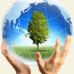 Đức Thánh Cha kêu gọi bảo vệ môi sinh