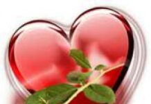 Yêu là cho đi tất cả và dâng hiến trọn vẹn