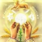 Hạt giống Lời Chúa – Lễ Mình Máu Thánh