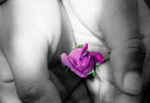 Những thứ bạn có thể trao tặng