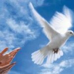 “Cánh cửa ngang qua thế giới buồn”