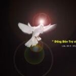 Các bài suy niệm về Lễ Hiện Xuống