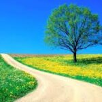 Con đường Tình yêu em đang đi