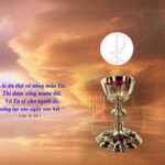 Lời nguyện tín hữu – Lễ Mình-Máu Thánh Chúa Kitô