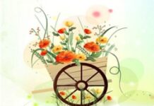 Điều kỳ diệu từ cách nhìn cuộc sống