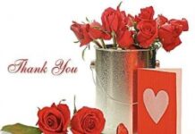 Điều con muốn nói