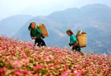 Mẹ ơi, con cảm ơn Mẹ!