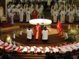 Linh mục: Người được “chọn” và “gọi”