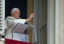 Từ bỏ kiêu căng ngạo mạn, bạo lực bất công và sống yêu thương