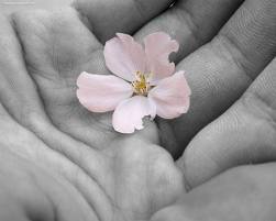images (1)