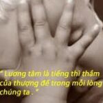 Đau nhói chuyện lương tâm và văn hoá