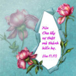 Bài suy niệm tháng 8/2011 – Đời Thánh hiến làm chứng cho Tin Mừng về các mối phúc