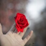 Nơi tình yêu bắt đầu