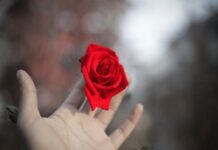 Nơi tình yêu bắt đầu