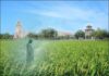 Các bài suy niệm Chúa Nhật 15 Thường niên Năm A