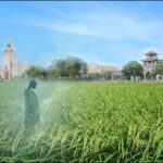 Hoạt Động Truyền Giáo Theo Thông Điệp Redemtoris Missio