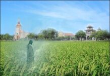 Tất cả chúng ta phải là những nhà truyền giáo