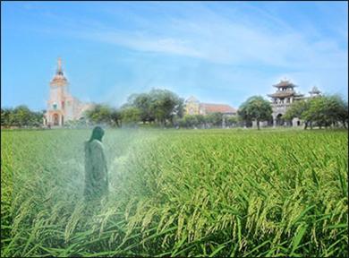Hoạt Động Truyền Giáo Theo Thông Điệp Redemtoris Missio