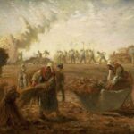 Đừng nhổ cỏ lùng