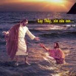 Các bài suy niệm Lời Chúa – Chúa nhật 19 TN.A