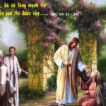 Từ tiếng kêu xin của Tình Mẫu tử