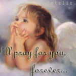 Niềm tự hào của con