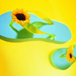 Theo bước đời con