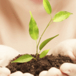 Vui học Thánh kinh – Chúa nhật 27 thường niên_C