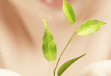 Vui học Thánh kinh – Chúa nhật 27 thường niên_C