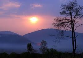 images (6)
