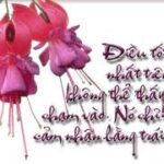 Sự chọn lựa của người phụ nữ