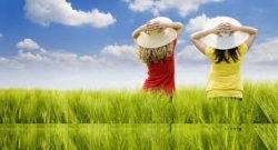 images_17