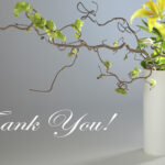 Lời con muốn nói