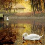 Tản mạn một chút hai chữ tình yêu