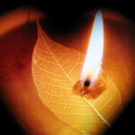 Cách thức anh em nghe (Thứ Hai Tuần 25 Thường niên)