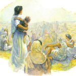 Mấy người phụ nữ cùng đi (Thứ Sáu Tuần 24 Thường niên)