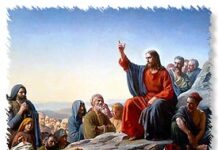 Phúc cho anh em là những người nghèo – Thứ Tư Tuần 23 Thường niên