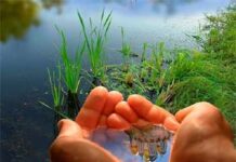 Bài học từ cảnh quan